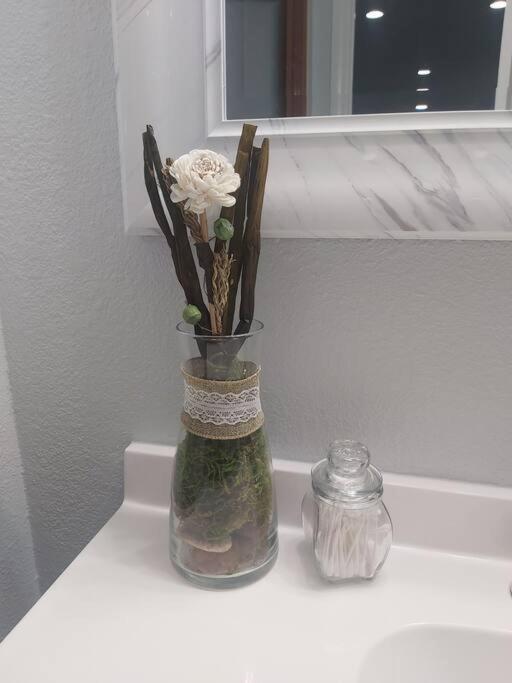 Torres Tiny Home Midtown Westtampa Rjs מראה חיצוני תמונה