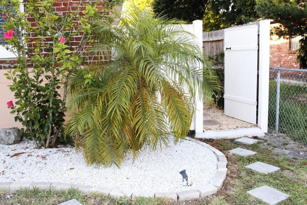 Torres Tiny Home Midtown Westtampa Rjs מראה חיצוני תמונה
